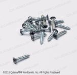 820726122BG-G GRAY COUPLING SCREW BAG/20