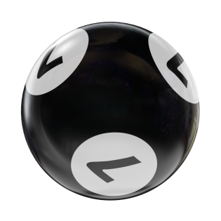 BINGO HOUSEBALL BLACK/WHITE 7 LBS