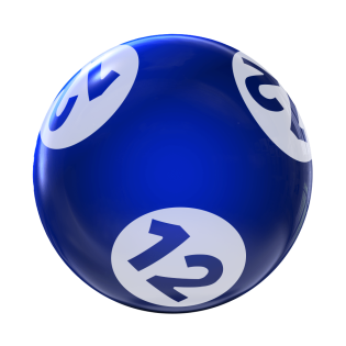 BINGO HOUSEBALL COLORED 12 LBS